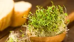 10 Makanan Enak Ini Ternyata Bisa Bikin Nyawa Melayang