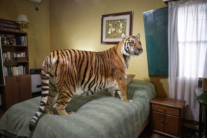 Pemenang 1839 Awards 2024