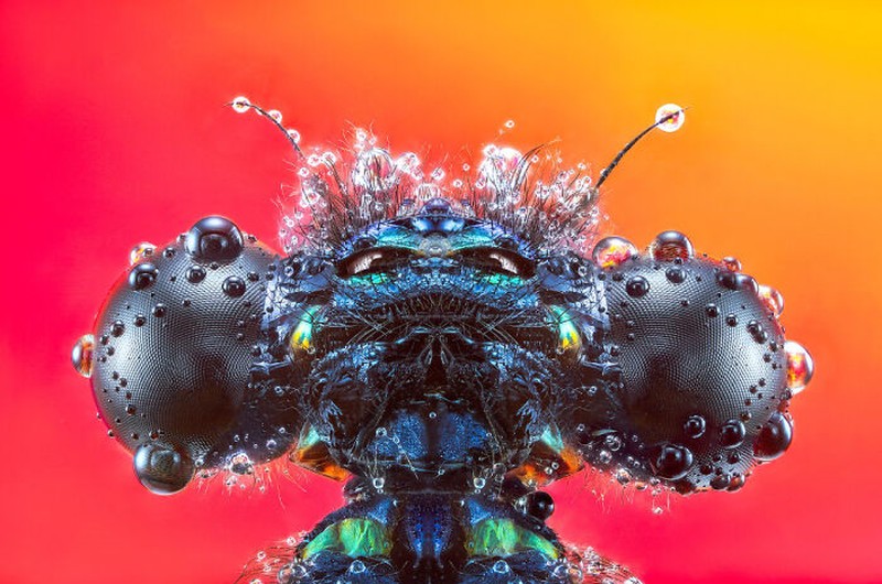 Pemenang 1839 Awards 2024