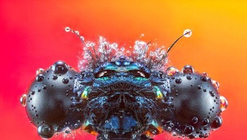 Karya Pedro Luis Ajuriaguerra Saiz, raih Silver di kategori Animals. Berkat Makrofotografi kita dapat menemukan dan menghargai detailnya yang tersembunyi dari kita. Saya telah memotret serangga yang berbeda memberi mereka keunggulan besar dan menunjukkan keindahan unik mereka. Foto: 1839 Awards