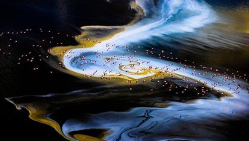 Karya Alexandre Bès, raih Bronze di kategori Animals. Danau Magadi yang berarti soda dalam bahasa Swahili menyandang namanya dengan sangat baik, karena mengandung konsentrasi soda kaustik yang unik, yang diproduksi secara alami oleh transformasi sedimen yang bersentuhan dengan air limpasan dan lava cair di bawah danau. Foto: 1839 Awards