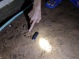 Geger Teror Macan Tutul di Gunung Sawal Ciamis