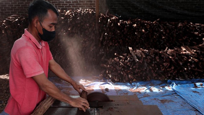 Pengolahan Akar Laka yang Bisa Tembus Pasar China dan Taiwan Pekerja memotong akar pohon laka (Dalbergia parviflora) di salah satu rumah produksi akar laka di Banda Aceh, Aceh, Senin (24/6/2024). Akar laka yang dikumpulkan dari petani tersebut dijadikan bahan baku pembuatan biji tasbih, dupa, herbal dan diekspor ke China dan Taiwan dengan harga Rp10.000 hingga Rp35.000 per kilogram tergantung kualitas akarnya. ANTARA FOTO/Irwansyah Putra/YU