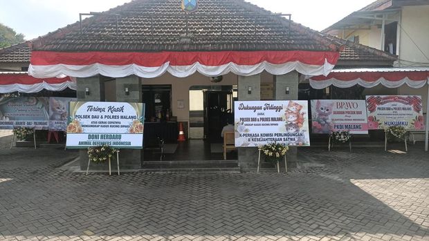 Polres Dau dipenuhi karangan bunga soal kasus penyiksaan kucing