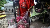 Industri kerupuk rumahan berada persis di pinggir rel kereta api kawasan Kebayoran Lama.
