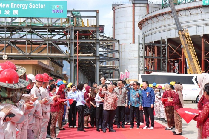 Proyek HPAL PT ESG Ditargetkan Commissioning di Akhir Tahun 2024