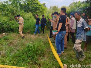 Geger Warga Temukan Tengkorak Manusia di Kebun Kosong Sukabumi