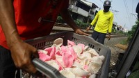 Menurut pedagang dalam sehari mereka dapat memproduksi dua hingga tiga kuintal berbagai jenis kerupuk untuk didistribusikan ke pasar di Jakarta yang diambil pedagang keliling.  