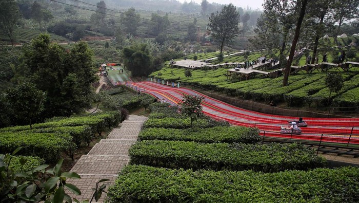 Agrowisata Gunung Mas Puncak Bogor
