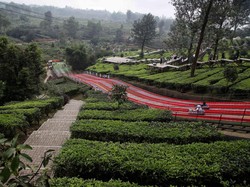 Agrowisata Gunung Mas Puncak, Tempat Asyik untuk Liburan dan Healing