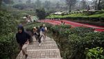 Bingkai Sepekan: Kawasan Wisata Puncak Bersalin Rupa