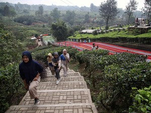 Agrowisata Gunung Mas Puncak: Bisa Jajal Petualangan-Wahana Seru di Kebun Teh