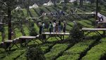 Bingkai Sepekan: Kawasan Wisata Puncak Bersalin Rupa