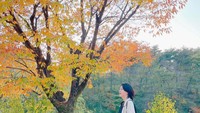 Lee Young Ae terkadang tidak menyebutkan lokasi tempat dia berfoto. Namun, ide berfoto di taman ini bisa kita tiru nih traveler.