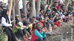 Tradisi Karapan Kerbau Menyambut Musim Tanam di Lumajang