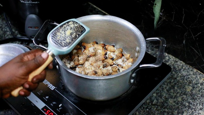 Francoise Lukadi, an agronomist, shows palm weevil larvae and demonstrates how they evolve during an inspection at the farm in Kinshasa, Democratic Republic of Congo, May 16, 2024. REUTERS/Justin Makangara
