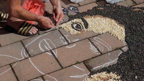 Kosovo artist Alkent Pozhegu works on a mosaic made of grains showing a portrait of Michael Jackson on the 15th anniversary of his death in Gjakova, Kosovo June 25, 2024. REUTERS/Valdrin Xhemaj