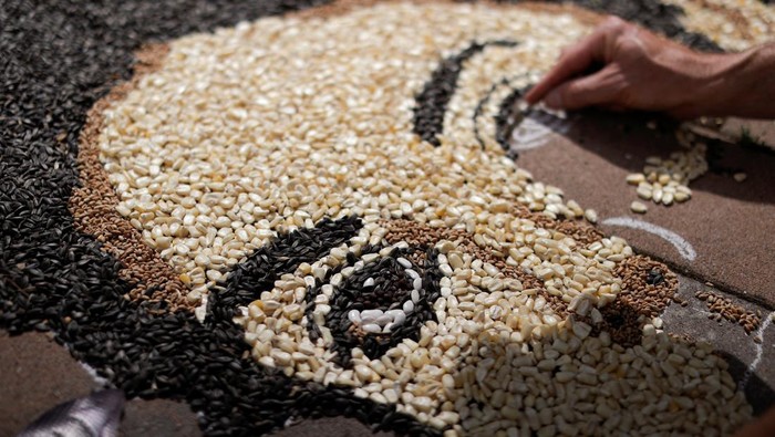Kosovo artist Alkent Pozhegu works on a mosaic made of grains showing a portrait of Michael Jackson on the 15th anniversary of his death in Gjakova, Kosovo June 25, 2024. REUTERS/Valdrin Xhemaj
