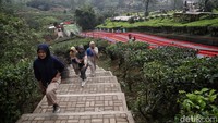 Tempat ini menawarkan sejumlah wahana, salah satunya adalah perosotan pelangi sepanjang 150 meter.