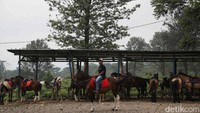 Selain berjalan, di sini kamu juga bisa mengelilingi kebun teh dengan berkuda. Harga sewa kuda mulai dari Rp 50 ribuan, dengan pilihan durasi waktu 30 menit, 60 menit, atau 120 menit. Rute untuk berkuda berbeda dengan pejalan kaki, jadi kamu bisa menikmati pemandangan kebun teh dengan sisi berbeda.