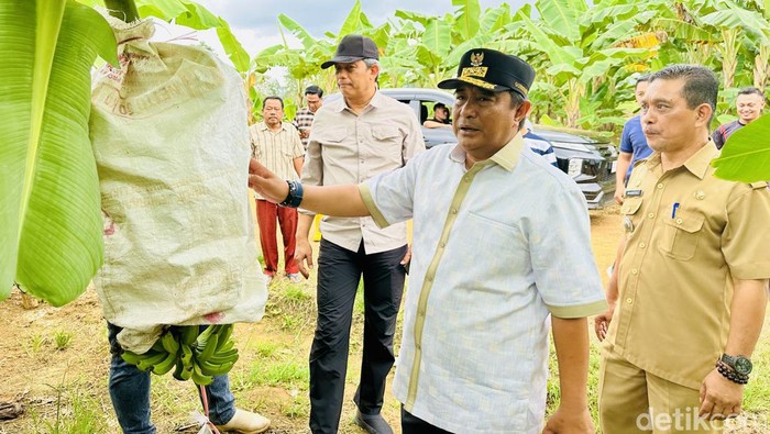 Pj Gubernur Sulawesi Barat Bahtiar Baharuddin.