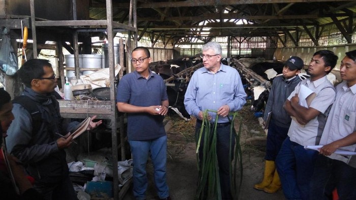 Frisian Flag Indonesia, anak perusahaan FrieslandCampina, bangun proyek ‘Dairy4Development’ yang telah berlangsung selama sepuluh tahun di Pulau Jawa, Indonesia.
Proyek yang dimulai pada tahun 2013 ini bertujuan untuk meningkatkan produksi susu lokal yang berkualitas tinggi.