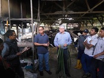 Upaya Mendongkrak Produksi Susu Sapi dan Pertumbuhan Ekonomi