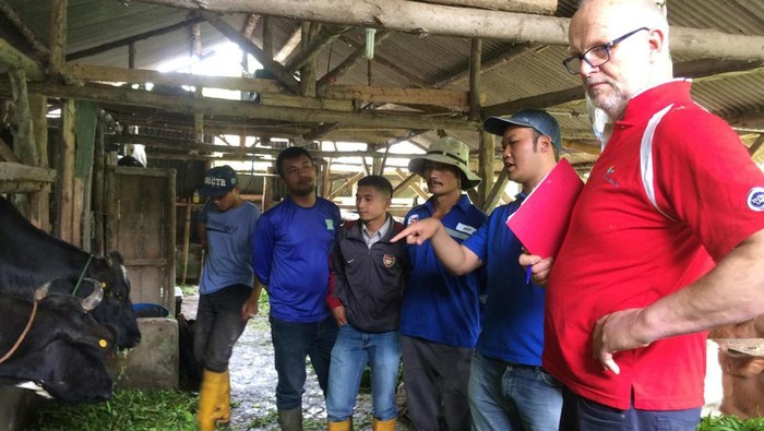 Upaya Mendongkrak Produksi Susu Sapi dan Pertumbuhan Ekonomi Frisian Flag Indonesia, anak perusahaan FrieslandCampina, bangun proyek ‘Dairy4Development’ yang telah berlangsung selama sepuluh tahun di Pulau Jawa, Indonesia.
Proyek yang dimulai pada tahun 2013 ini bertujuan untuk meningkatkan produksi susu lokal yang berkualitas tinggi.
