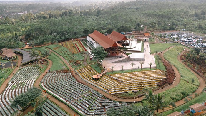 Agrowisata Tamansuruh Banyuwangi