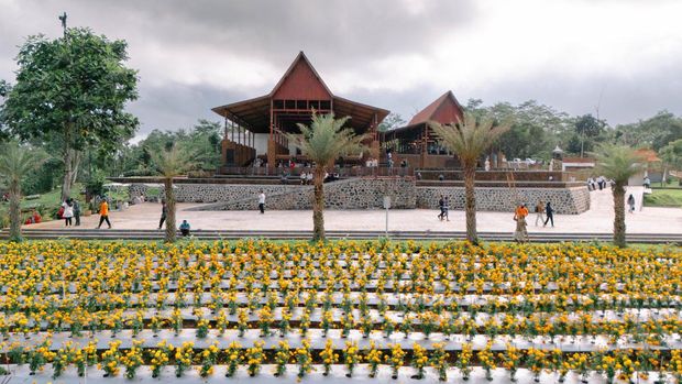 Agrowisata Tamansuruh Banyuwangi