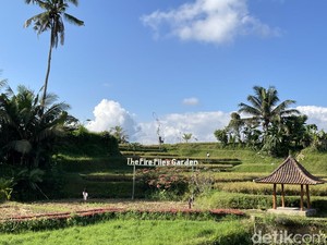 Desa Wisata Taro, Desa Kuno di Gianyar, Bali