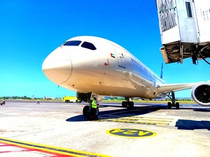 Pesawat Etihad Gagal Terbang, Pilot Rem Mendadak