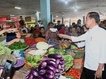 Jokowi Kaget Harga Pangan di Kalteng Sama Seperti di Jawa