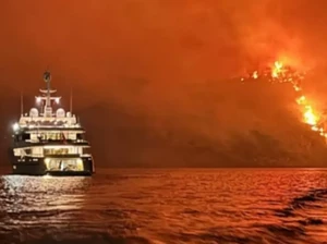 Duh, gegara Kembang Api dari Kapal Pesiar Hutan di Pulau Ini Terbakar