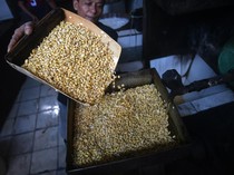 Dolar AS Ngamuk, Harga Kedelai Tembus Rp 1,2 Juta/Kwintal