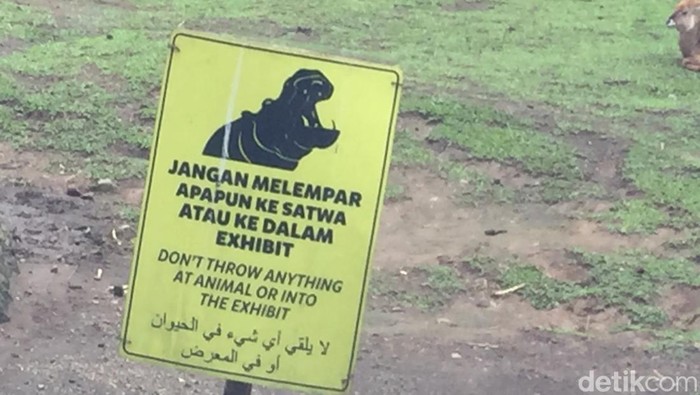 Larangan memberi makan satwa di Taman Safari