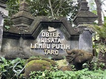 Mengenal Daya Tarik Wisata Desa Taro Gianyar
