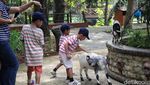 Liburan dan Berinteraksi dengan Berbagai Hewan di Faunaland Ancol