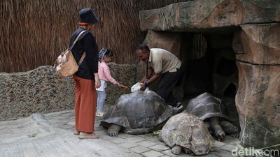 Liburan dan Berinteraksi dengan Berbagai Hewan di Faunaland Ancol