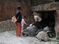 Liburan dan Berinteraksi dengan Berbagai Hewan di Faunaland Ancol