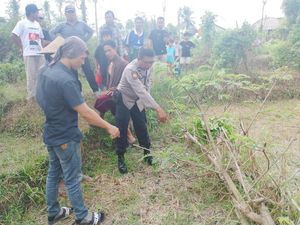 Geger Penemuan Bayi Perempuan di Sawah Lombok Tengah