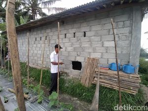 8 Kambing Milik Peternak Dukun Magelang Digondol Maling
