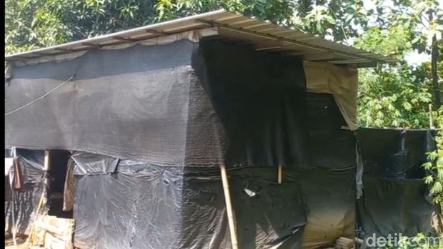 Penampakan gubuk berdinding plastik yang dibangun ala kadarnya oleh Suhadi di Pemalang, Rabu (26/6/2024).