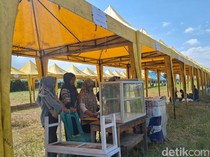 Ratusan UMKM Terlibat Meriahkan Gelaran MXGP 2024 di Mataram