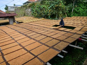 Petani Tembakau Duga Ada Pihak yang Intervensi PP Kesehatan
