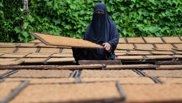Penerimaan Cukai Hasil Tembakau Menurun 6,6 Persen Petani mengiris daun tembakau yang telah dipanen di Desa Banyuresmi, Tanjungsari, Kabupaten Sumedang, Jawa Barat, Rabu (26/6/2024). Kementerian Keuangan mencatat, realisasi penerimaan Cukai Hasil Tembakau (CHT) per Februari 2024 mencapai Rp 39,5 triliun, atau mengalami penurunan sebesar 6,6 persen dibanding periode yang sama pada tahun sebelumnya. ANTARA FOTO/Raisan Al Farisi/foc.