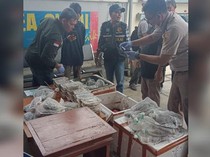 100 Ekor Reptil Dilindungi Gagal Diselundupkan dari Asahan ke Malaysia