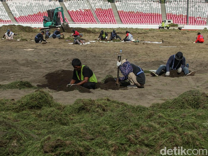 Revitalisasi Rumput SUGBK Dimulai