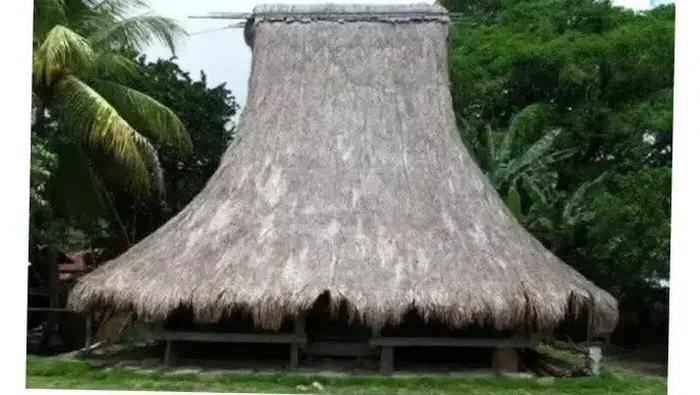 Rumah adat Musalaki di Ende, NTT. (Dok. Yakobus Saka Lewuk)