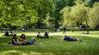 Namun, hal itu tak menjadi halangan bagi warga yang ingin bersantai menikmati suasana pepohonan di taman meski cuaca sedang terik.
